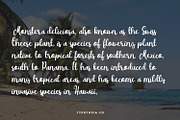Arsalia Handwritten Font, a Script Font by edukka (Thumbnail 5 of 9)