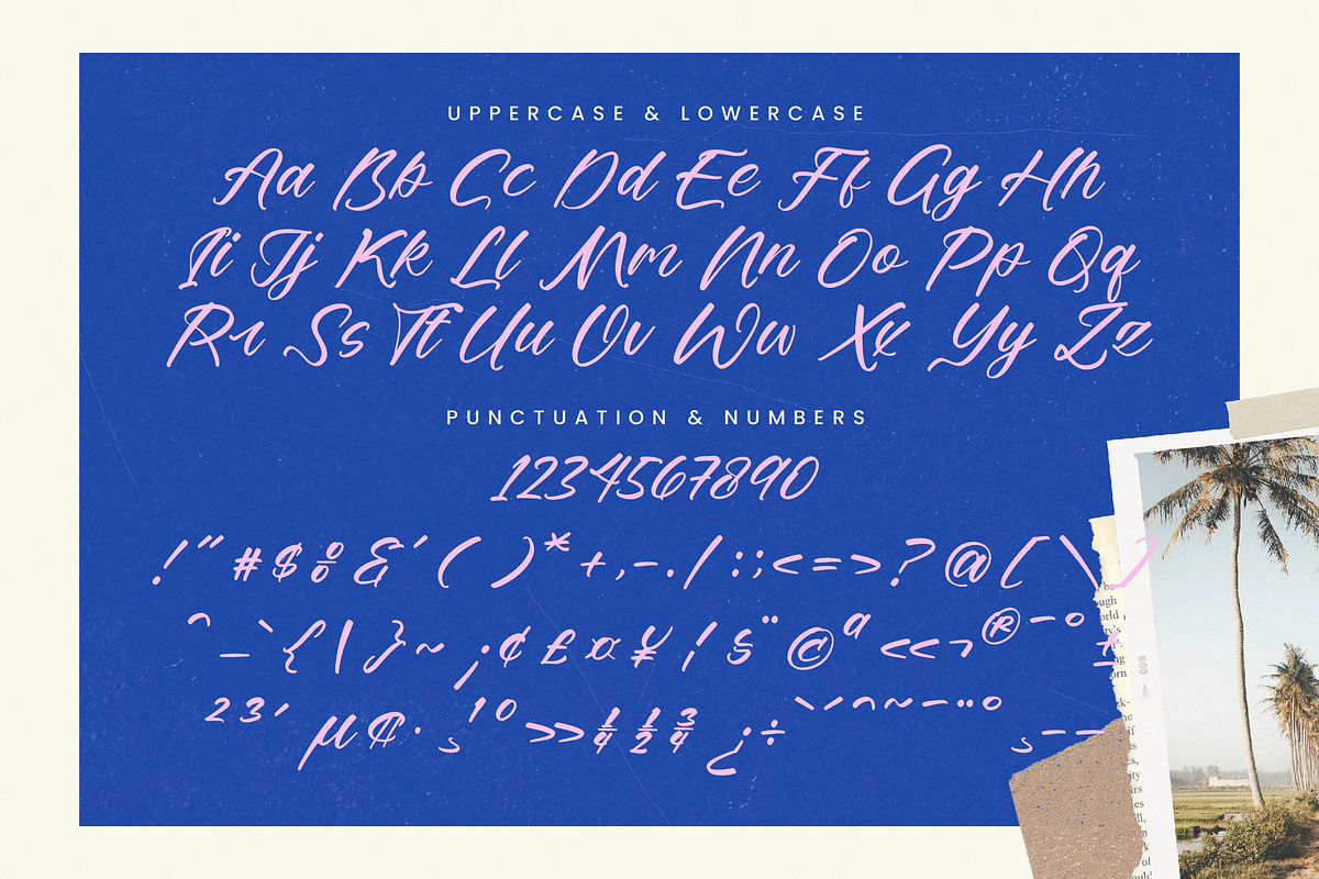 Delighta Modern Handwritten Font, a Script Font by stylishtype.co (Photo 13 of 15)