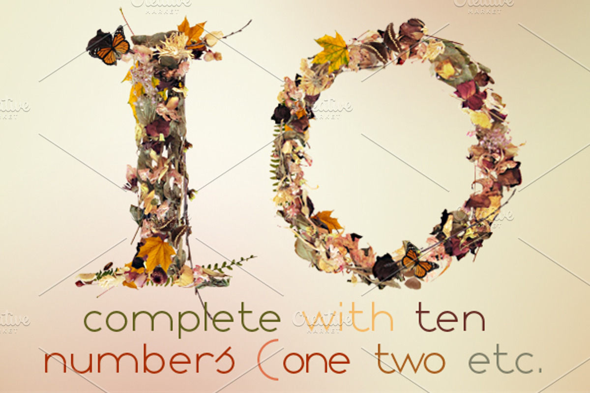 NT Fall -a multicolor photo/typeface, an Illustration by NovoTypo (Photo 5 of 5)