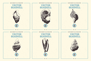 VECTOR SEASHELL HAND DRAWN BUNDLE 22, an Illustration by pawellpi (Thumbnail 8 of 10)