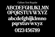 Callum Text Serif | 9 Font, a Serif Font by Positive TypeFoundry (Thumbnail 13 of 13)