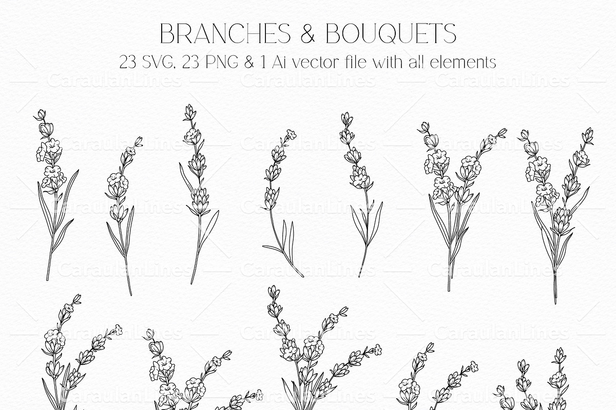 Lavender Line Art, a Decorative Illustration by CaraulanStore (Photo 2 of 8)