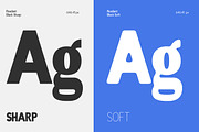 Readant Normal - Family Font, a Sans Serif Font by Rastype (Thumbnail 5 of 10)