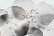 The Morning After: 70 Backgrounds, a Background Graphic by Purple (Thumbnail 4 of 11)