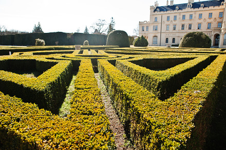Bush maze in Lednice Castle Chateau with beautiful gardens and p, an Architecture Photo by AS photostudio