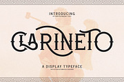 Clarineto A Display Typeface Font, a Serif Font by Storytype Studio (Thumbnail 1 of 15)