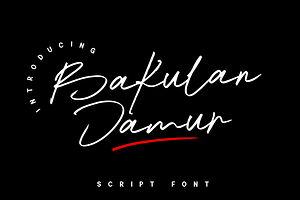 Bakulan Jamur - Script Font