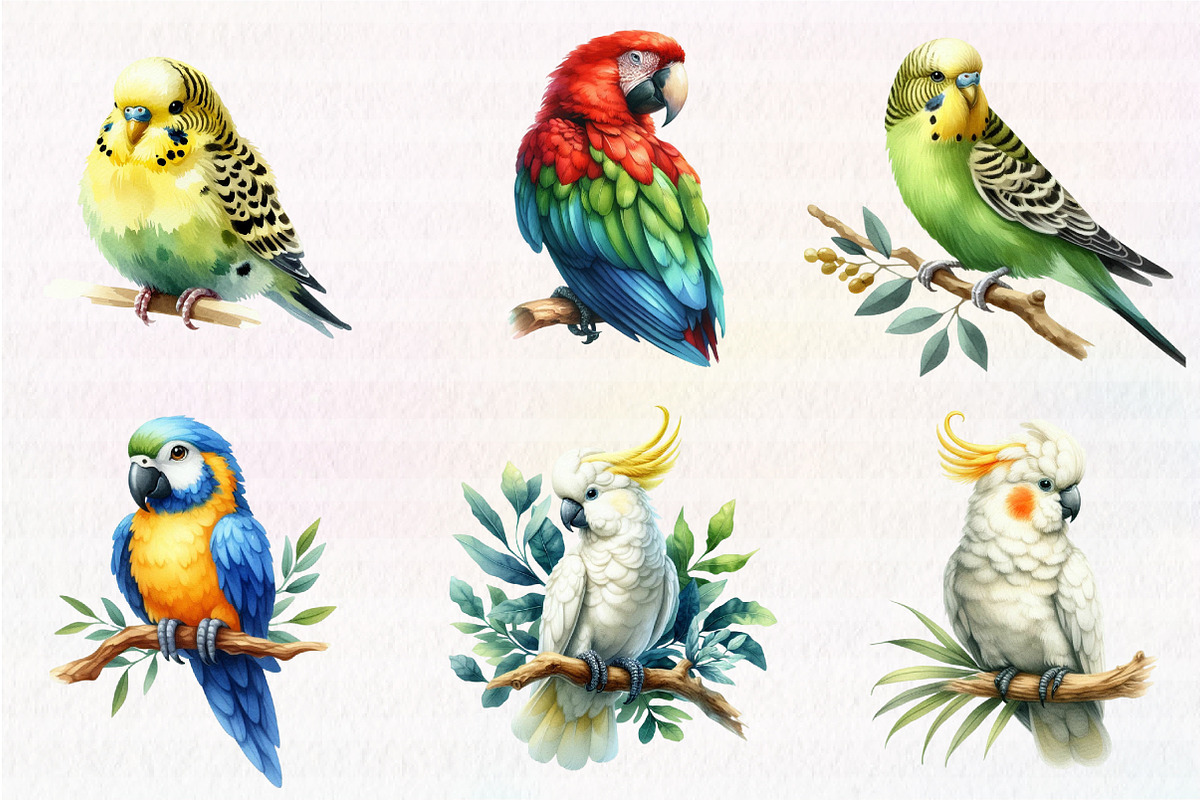 Parrots watercolor clipart,, an Illustration by CreationArt (Photo 4 of 5)