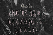 Lace Me Up My Love Whimsical Serif, a Serif Font by The October Creative (Thumbnail 3 of 8)
