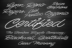 Mocha Script