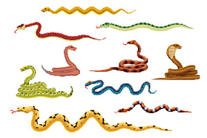 8bit arcade game pixel art snakes, an Animal Illustration by Vector Tradition