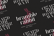 SALE! Golden Tales Serif Collection, a Serif Font by VP Fonts (Thumbnail 6 of 23)
