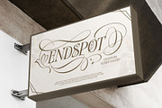 Dove and Goose Typeface, a Serif Font by alit design (Thumbnail 17 of 20)