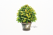 Hyperrealistic Watercolor Ice Cream, a Food Illustration by New-School-Wave (Thumbnail 2 of 5)