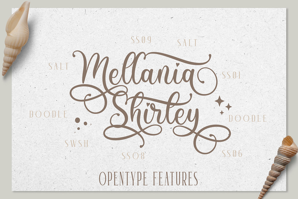 Winter Sounds | All Season Fonts, a Script Font by Almeera Std (Photo 12 of 15)