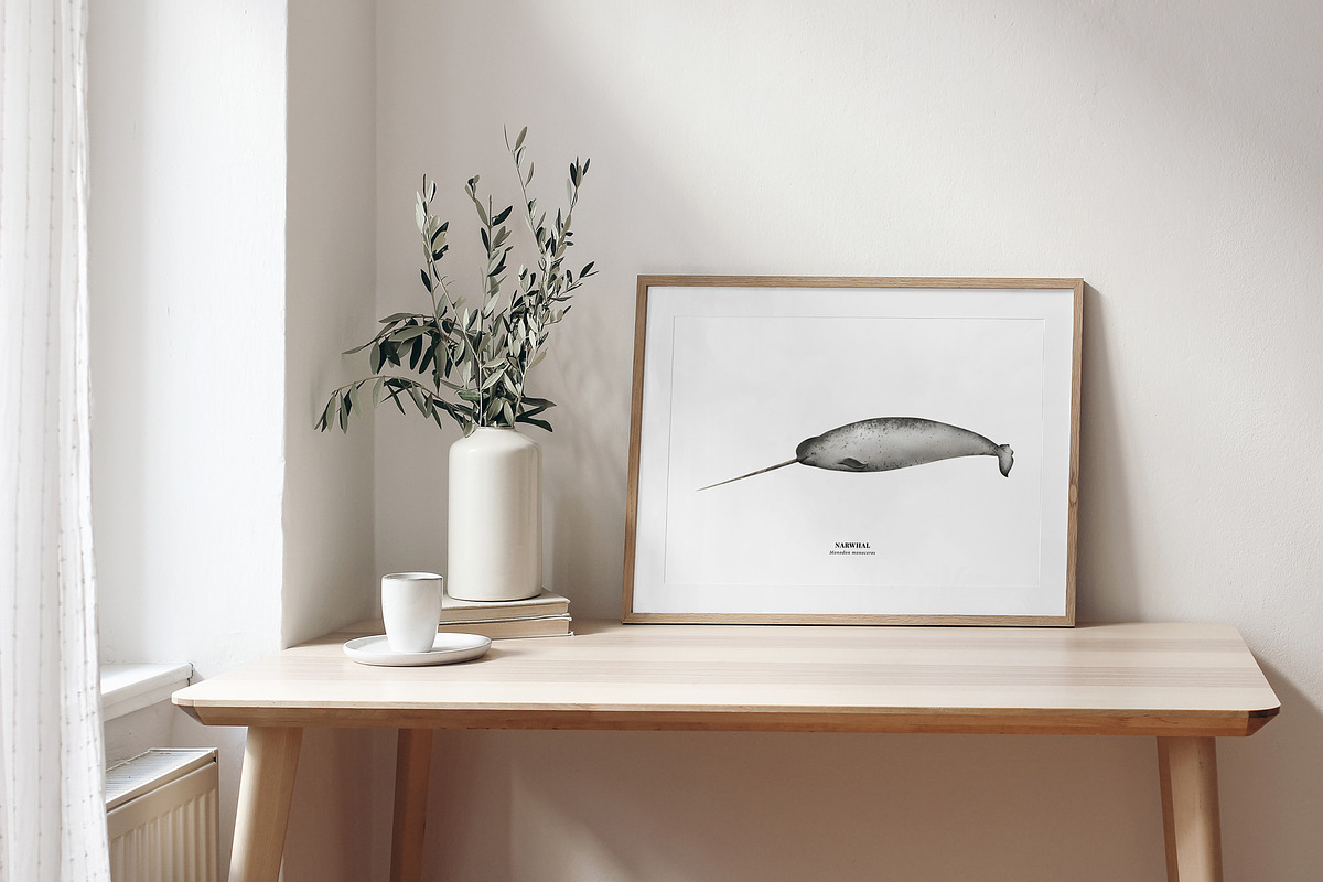 Watercolor Whales. Ocean animals set, an Animal Illustration by Diana Askarova Art (Photo 7 of 7)