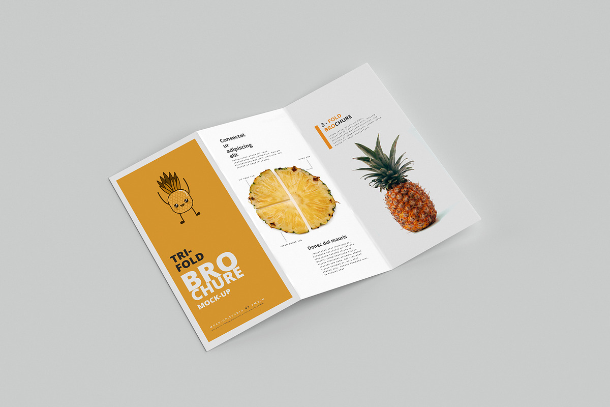 165 Brochure Mock-ups Big Bundle, a Print Template by pmvch (Photo 26 of 170)