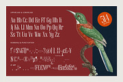 Broswick Bold Tall Display Serif, a Serif Font by timelesstype.co (Thumbnail 19 of 20)