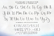 American Handmade, a Handwritten Font by FreshTypeINK (Thumbnail 5 of 8)