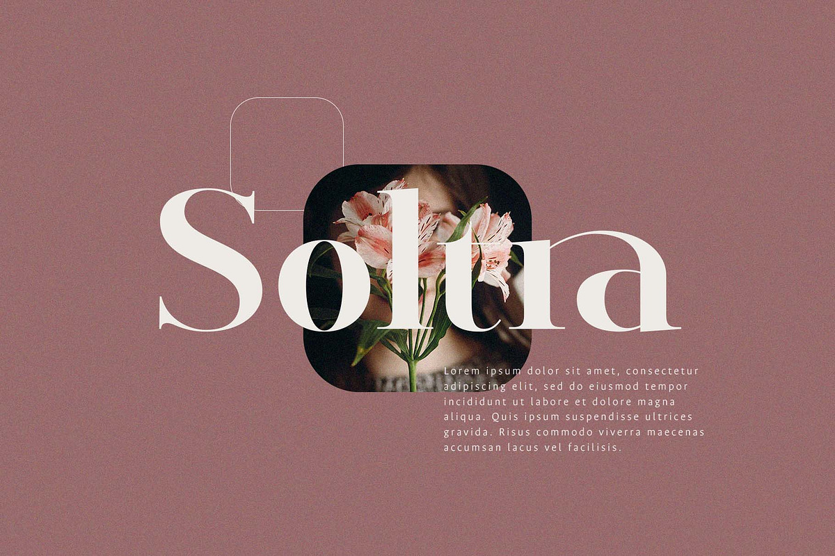 Ayilka - Elegant Display Serif, a Serif Font by BrandSemut (Photo 2 of 9)