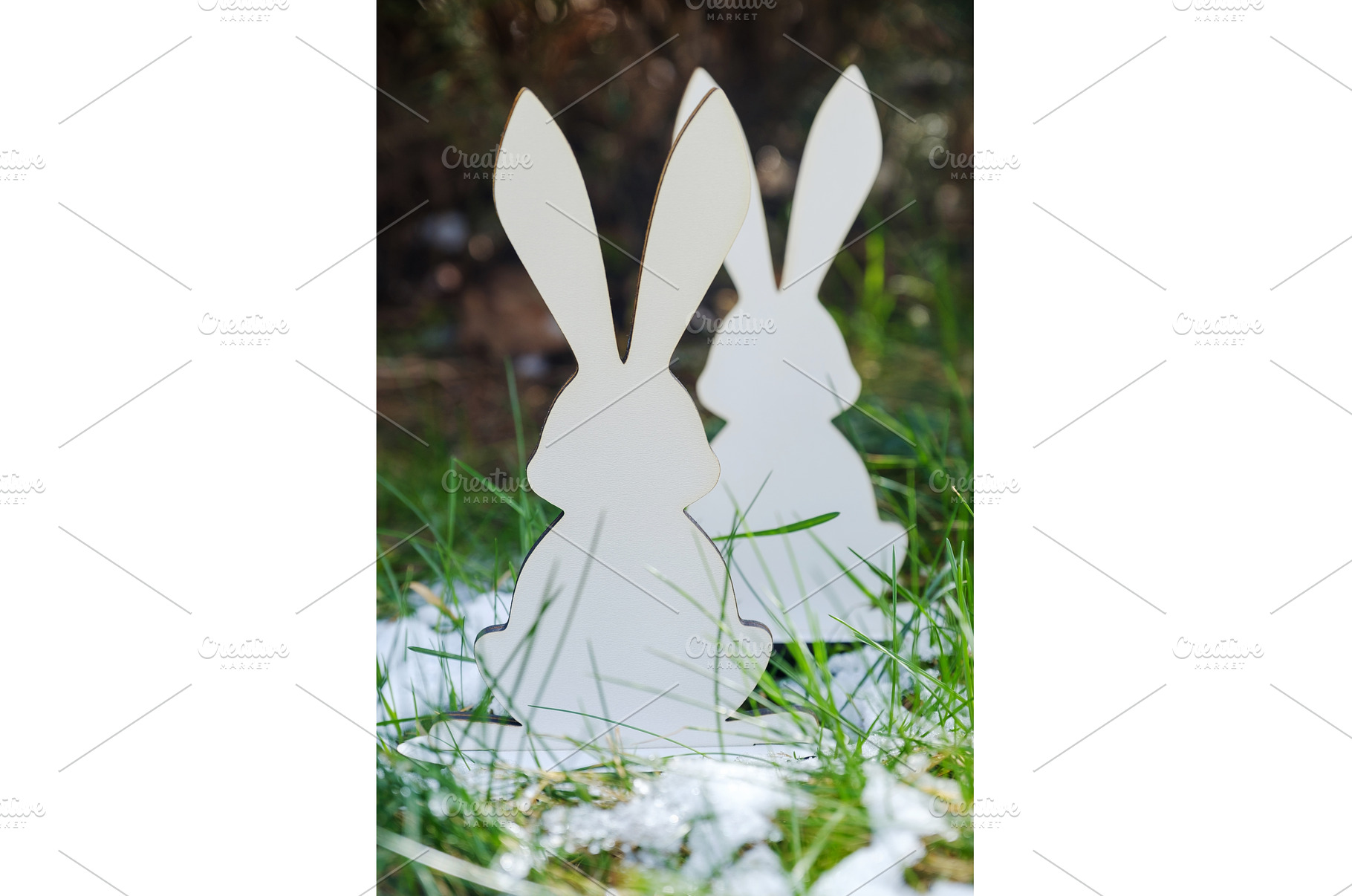 Easter Bunnies in Spring Grass. Two, a Holiday Photo by Rohan Photography