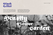 Black Obesity Blackletter Font, a Blackletter Font by alit design (Thumbnail 2 of 17)