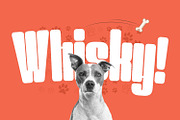 Werner Display, a Sans Serif Font by Foxtype (Thumbnail 2 of 6)