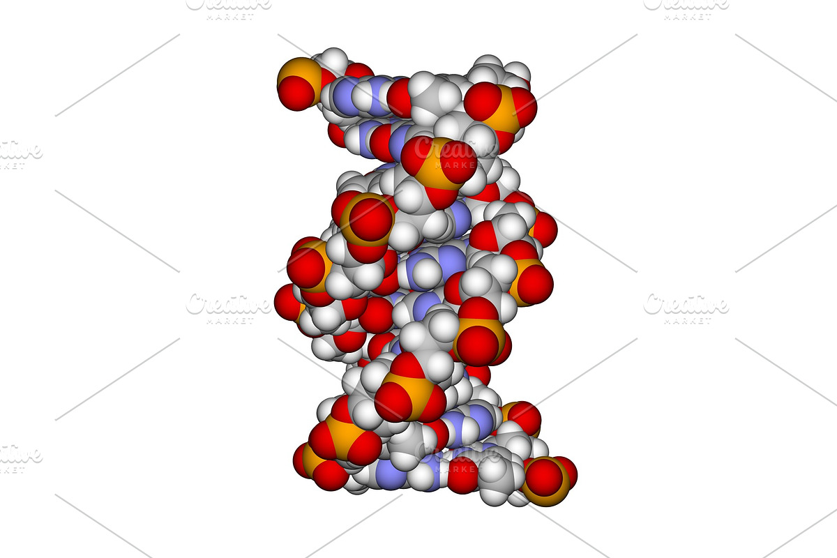 Part of a DNA double helix (a space, a Healthcare Illustration by Leonid Andronov