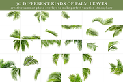 Under the Palms photo overlays, a Layer Style Add-On by BrownLeopard (Thumbnail 5 of 6)