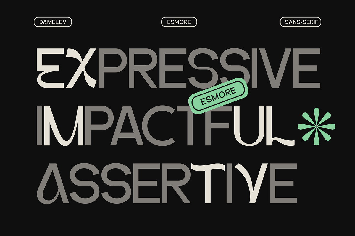 DV Emore, a Sans Serif Font by Damelev (Photo 4 of 13)