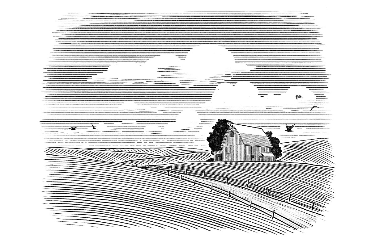 Large Midwestern Barn, a Work Illustration by blue67sign (Photo 4 of 4)
