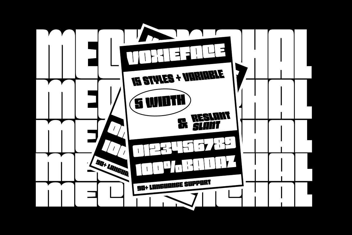 Voxieface Display Family, a Sans Serif Font by Holyline Design (Photo 7 of 9)