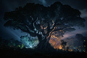 30 Magical Tree Forest Images, a Nature Photo by h.utomo (Thumbnail 15 of 30)