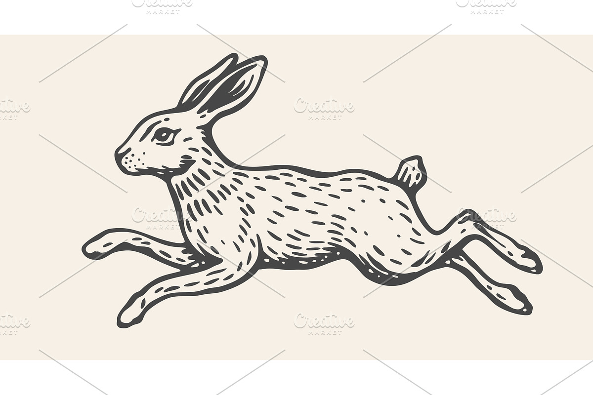 Hare, rabbit sketch. Vintage retro, an Animal Illustration by Foxys Graphic