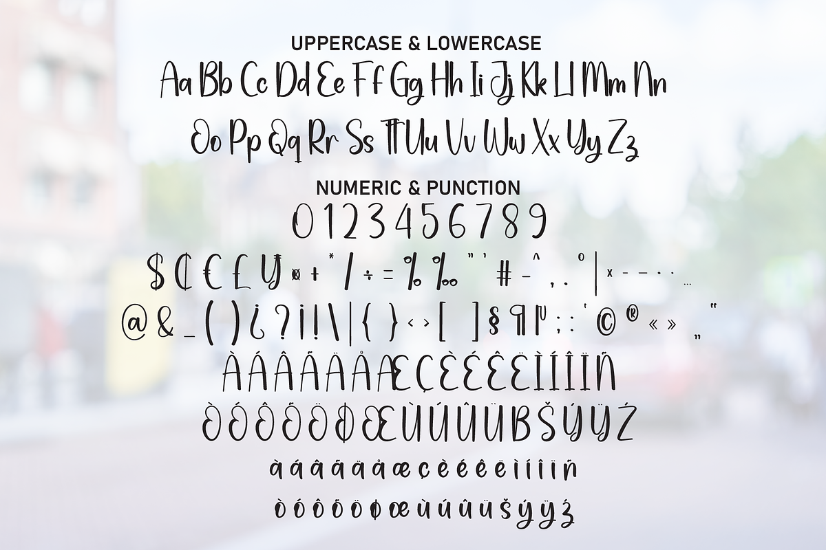 Amsterdam | Script Font, a Script Font by Scratchones (Photo 7 of 8)