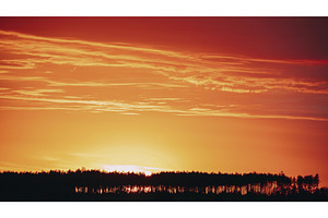 Sunset Sky Above Pine Forest. Sun, a Graphic by Our Amazing World