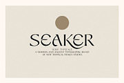 Seaker - Serif Typeface, a Serif Font by Tropical Type (Thumbnail 1 of 12)