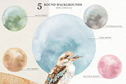 Australia Animals & Flora Watercolor, an Animal Illustration by Cat In Colour (Thumbnail 8 of 13)
