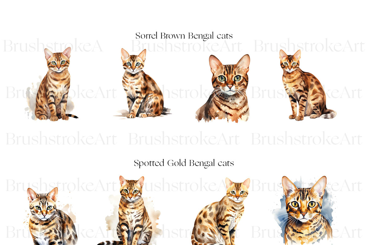 Cute Bengal Cat Clipart, Cute Cats, an Animal Illustration by BrushstrokeArtGB (Photo 6 of 10)