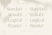 Noah - Elegant Ligature Font, a Serif Font by Sensatype (Thumbnail 9 of 19)