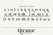 Quenor – Modern Editorial Serif Font, a Serif Font by shineink.designlab (Thumbnail 9 of 10)