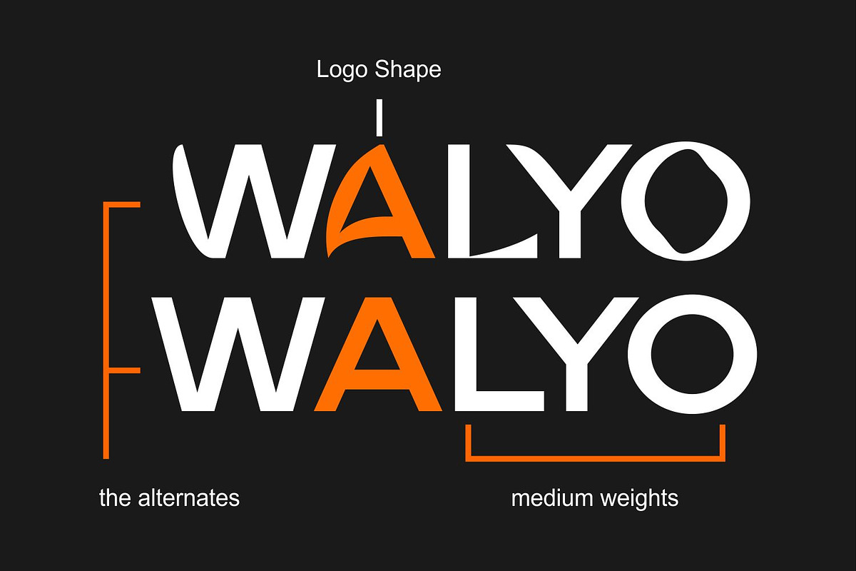 Walyo – editoral Logo font, a Sans Serif Font by WhymoreArt (Photo 8 of 11)