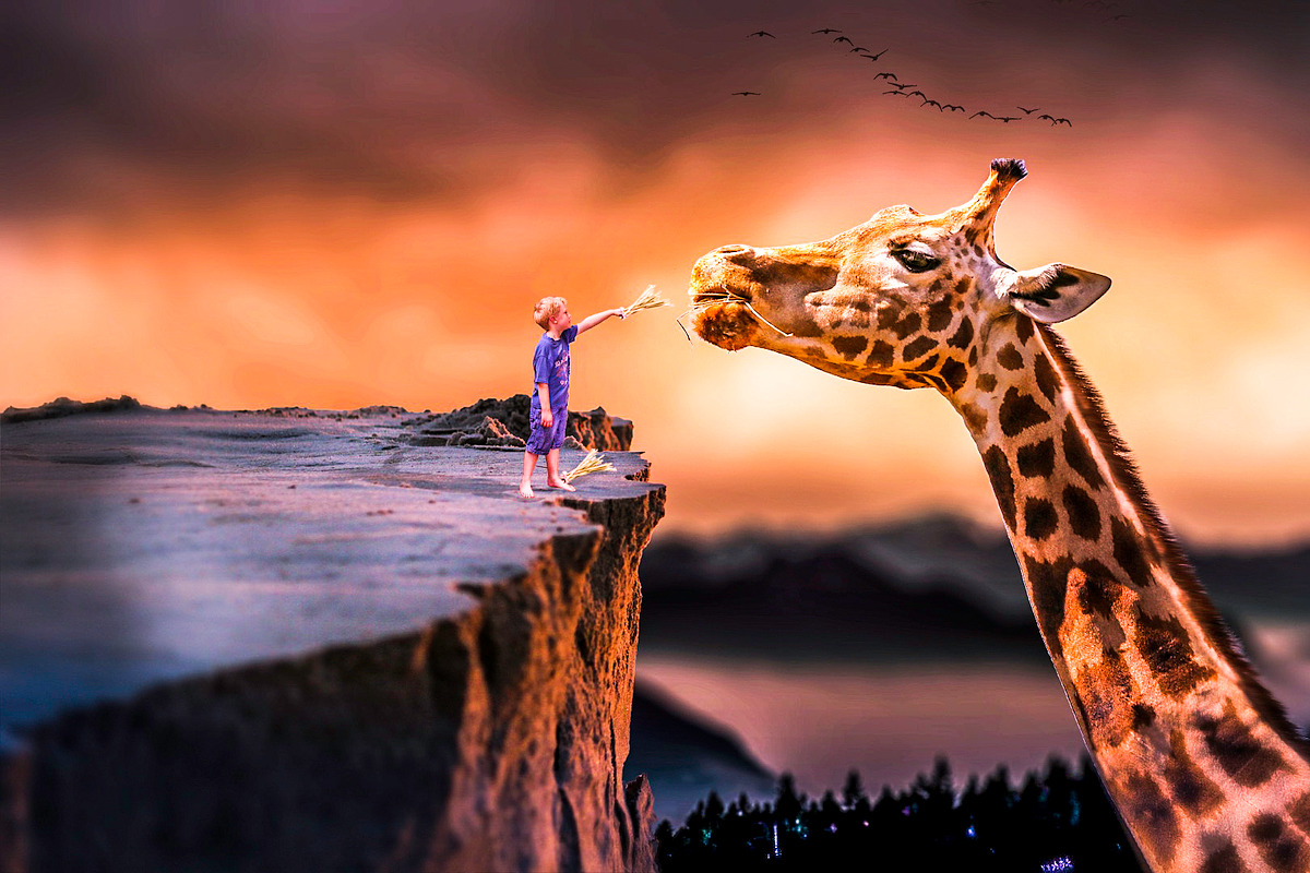 30 Procolor Lightroom Presets preview 5