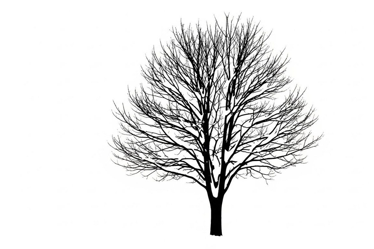 Winter Snow Silhouettes feature, an Illustration by Amazin_art (Photo 31 of 42)