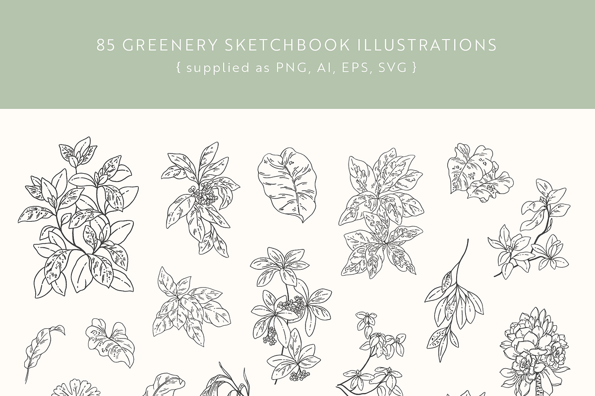 Greenery Sketchbook Illustrations, a Decorative Illustration by Emma Webb Studio (Photo 2 of 7)