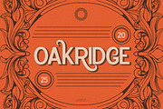 Thornrock - Vitage Sans Serif, a Sans Serif Font by Flawless And Co (Thumbnail 6 of 10)