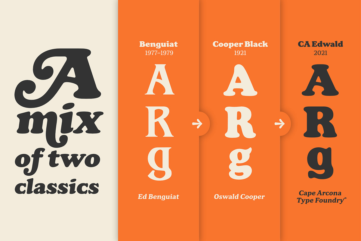 CA Edwald, a Serif Font by Cape Arcona Type Foundry (Photo 2 of 10)