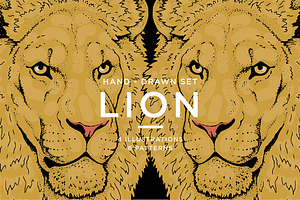 LIONS set