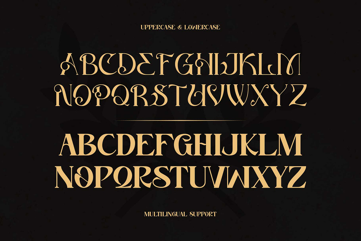 Stand For Honour, a Serif Font by Novitype (Photo 9 of 10)