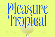 Hakons Serif Display Font, a Serif Font by timelesstype.co (Thumbnail 8 of 10)